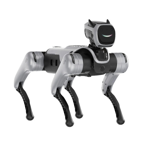 MagicLab MagicDog Quadruped