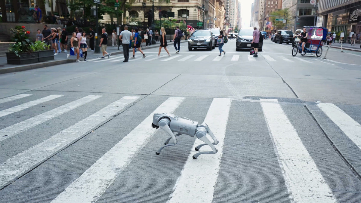 Quadruped robots