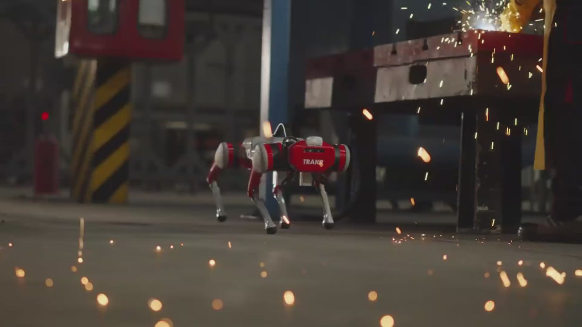 Load video: 